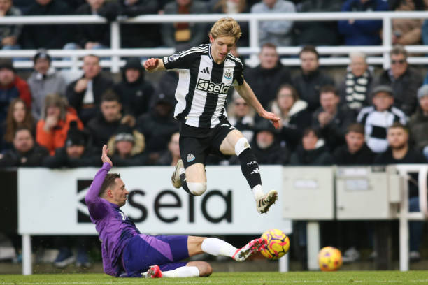 仅展示了伊 仅展示了伊